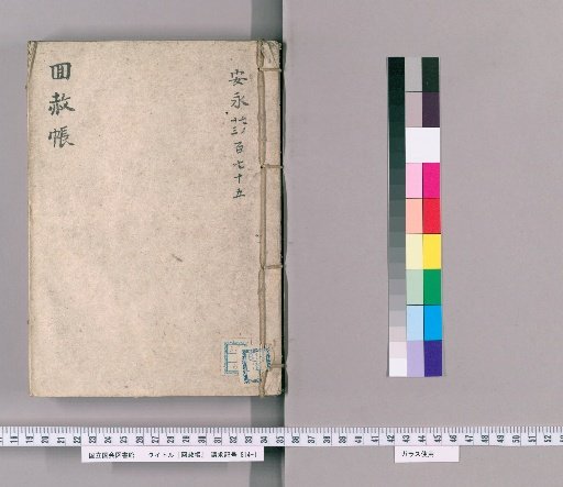 Memorial Record of Pardon [19]: For the Late Empress Dowager Toku-in, One Hundred and Fiftieth Year of Mourning (An'ei)