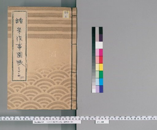 Illustrated Catalog of Rituals of Various Sects [36] No. 144 [5] (Jodo Sect)