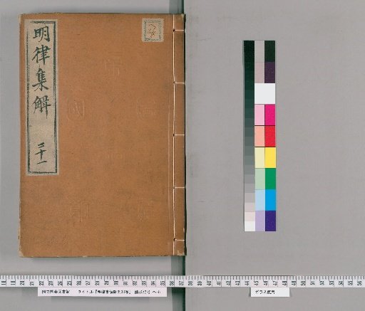 Annotated and Explained Ming Code with Attached Precedents, 30 Volumes [24]