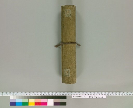 Treatise on Bamboo [1]