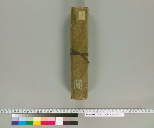 Treatise on Bamboo [2]