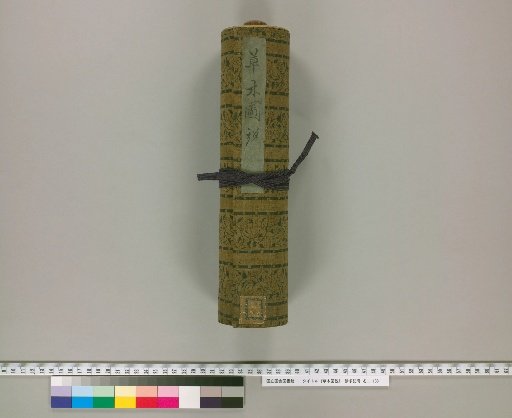 Illustrated Treatise on Plants and Trees [1]