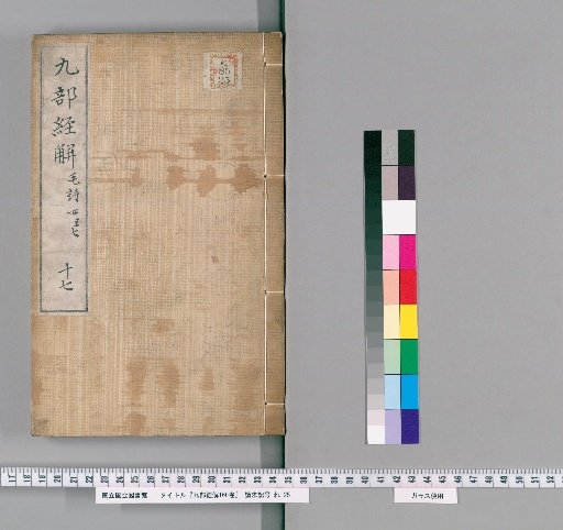 Explanations of the Nine Buddhist Canons, 166 Volumes [17]