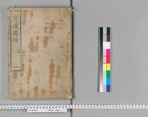 Illustrated Manual of Official Ceremonies [1]
