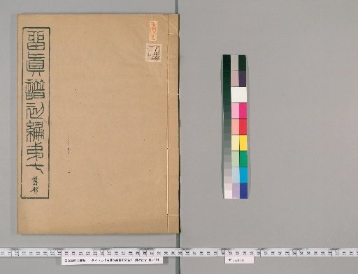 New Compilation of the True Genealogy, Unnumbered Volumes [7]