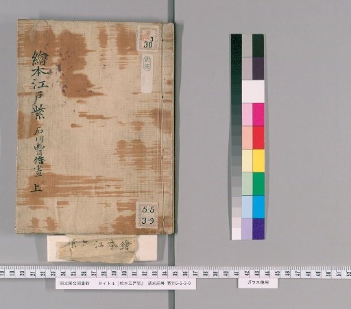 Picture Book of Edo Purple [1]