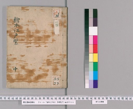 Picture Book of Edo Purple [2]