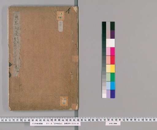 Zhan Chun Zhai Fish Catalog, 3 volumes [1]