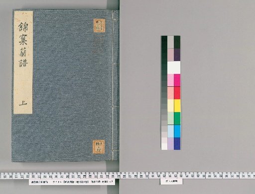 Jinko Orchid Catalog, 3 volumes with 1 volume appendix [1]