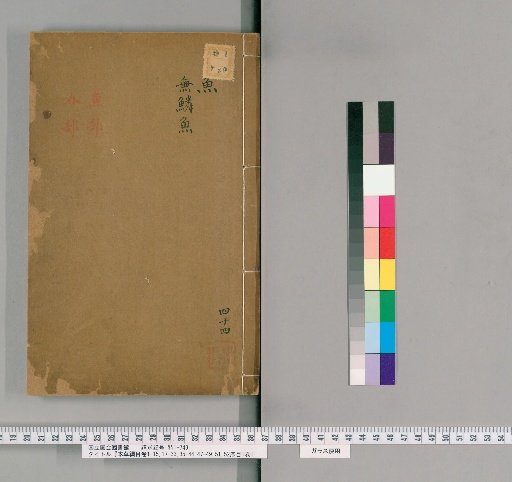 Compendium of Materia Medica, Volumes 1-15, 17-33, 35-44, 47-49, 51, 52, with 1 Volume of Prefaces and Index [32]