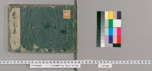 Collection of Cultivating Chrysanthemums in the Flower Garden, 3 Volumes [1]