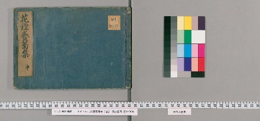 Collection of Cultivating Chrysanthemums in the Flower Garden, 3 Volumes [2]