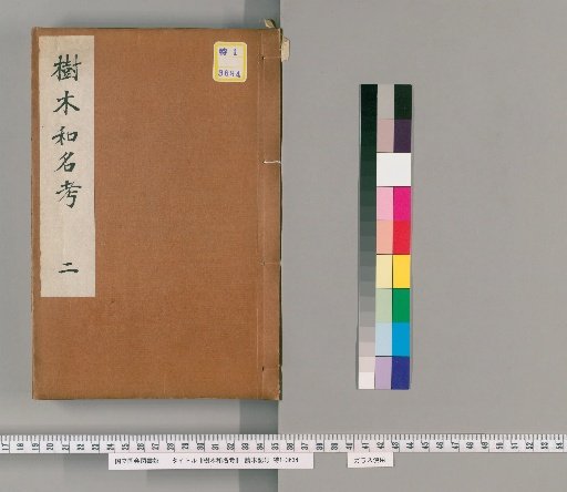 Study of Japanese Tree Names [2]
