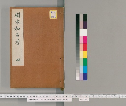 Study of Japanese Tree Names [4]