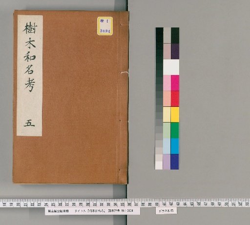 Study of Japanese Tree Names [5]