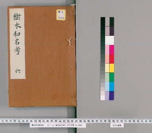 Study of Japanese Tree Names [6]