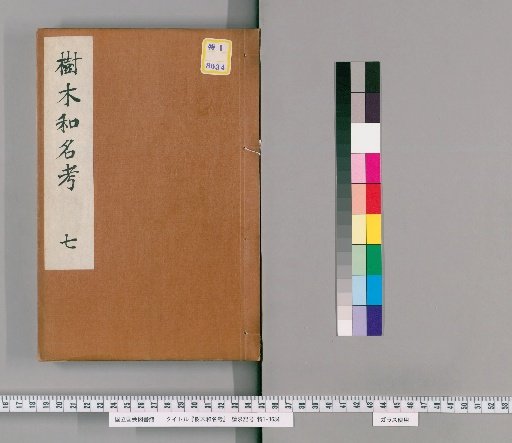 Consideration of Japanese Tree Names [7]