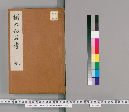 Consideration of Japanese Tree Names [9]