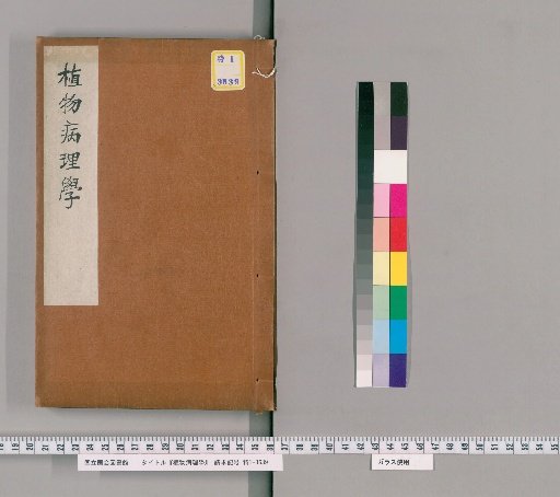 Plant Pathology [1]