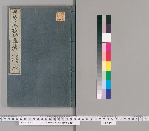 Manuscript of Nihon Shokubutsu Zue [2]