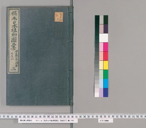 Manuscript Nihon Shokubutsu Zuie [3]