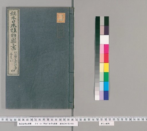 Draft Edition of the Illustrated Compilation of Japanese Plants, Volume 4