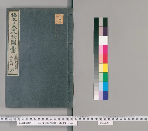 Manuscript of the Illustrated Compilation of Japanese Plants [5]
