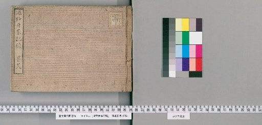 Records of the Shinoi Family [229]