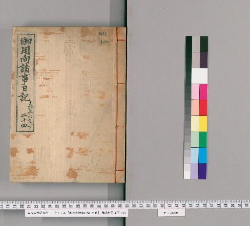 Diary of Official Matters, 24 volumes [24]