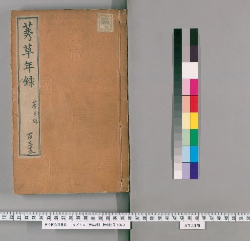 Record of Weeds [4]