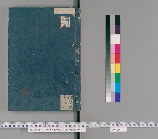 Record of the Compendium of Materia Medica [11]