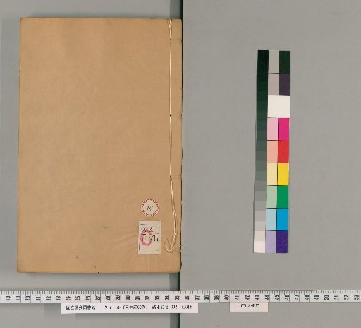 Tianzhong Ji, 60 Volumes [34]