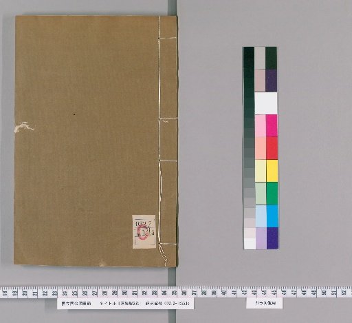 Records of Strange Things, 2 Volumes [4]