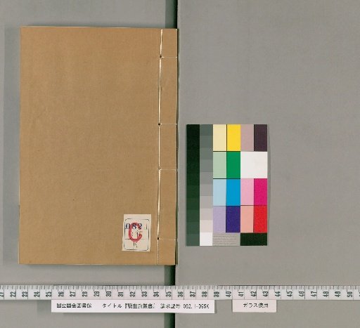 Congshu of Reading Painting Studio, Xin Collection, Volume 63