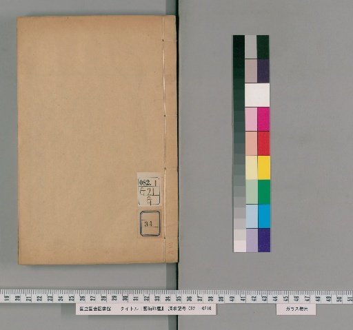 Dust of the Pearl of Art, Bamboo Collection, Volume 34