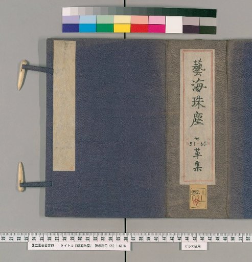 The Pearl of Art and Literature, Volume 51