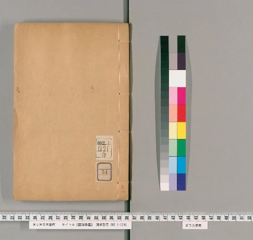Artistic Pearl Dust, Collection of Reforms, Volume 54