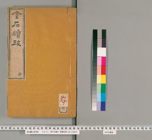 Remnant Writings of the Shoutang Studio, Volume 10
