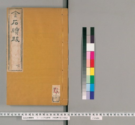 Remnant Books of Jūdō, Vol. 11