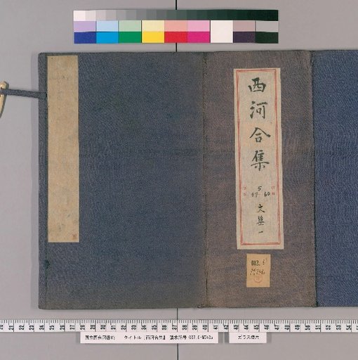 Nihon Gōshū, Volume 49