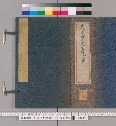 Cui Dongbi Xiansheng Iisho, Volume 1