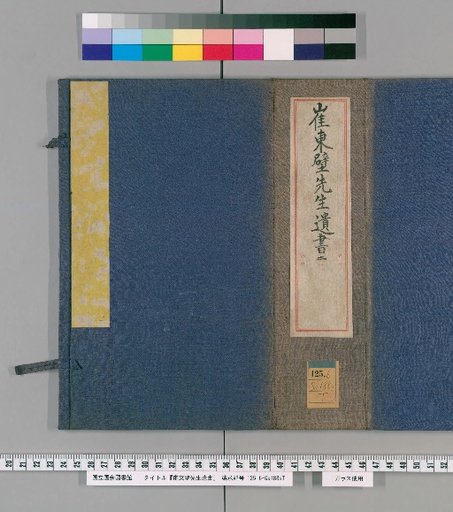 Remains of Master Cui Dongbi, Volume 7