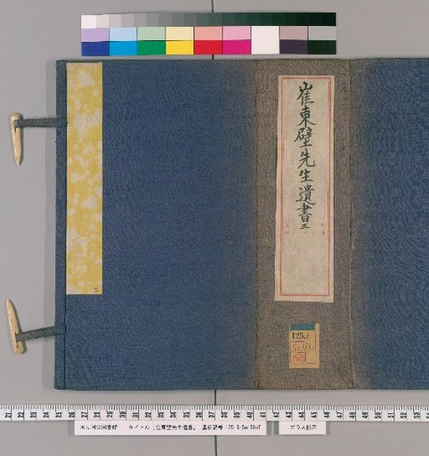 Collected Works of Master Cui Dongbi, Volume 13