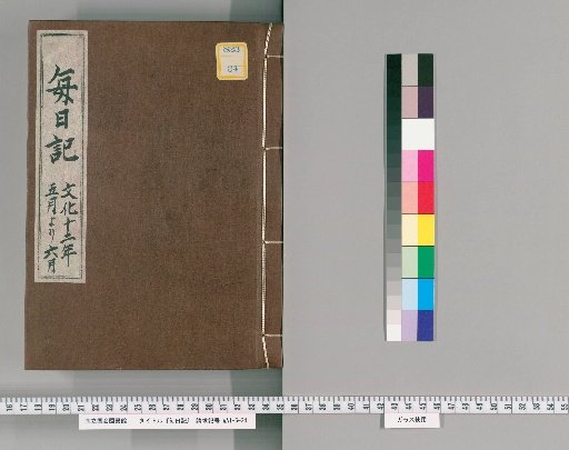 Daily Diary [455]