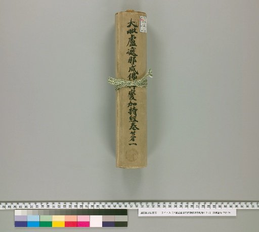 Mahavairocana Sutra: The Great Perfection of Wisdom [Volumes 1, 3-7, Vol. 1]