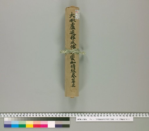 Mahavairocana Sutra: The Great Perfection of Wisdom [Volumes 1, 3-7, Vol. 3]