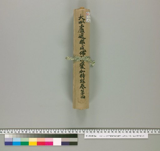 Mahavairocana Sutra: The Great Perfection of Wisdom [Volumes 1, 3-7, Vol. 4]