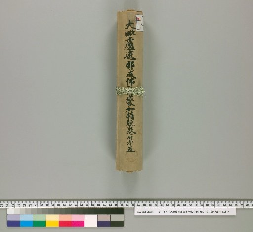 Mahavairocana Sutra: The Great Perfection of Wisdom [Volumes 1, 3-7, Vol. 5]
