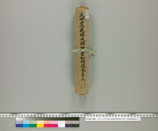 Mahavairocana Sutra: The Great Perfection of Wisdom [Volumes 1, 3-7, Vol. 6]