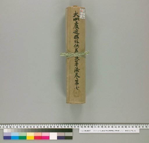 Mahavairocana Sutra: The Great Perfection of Wisdom [Volumes 1, 3-7, Vol. 7]